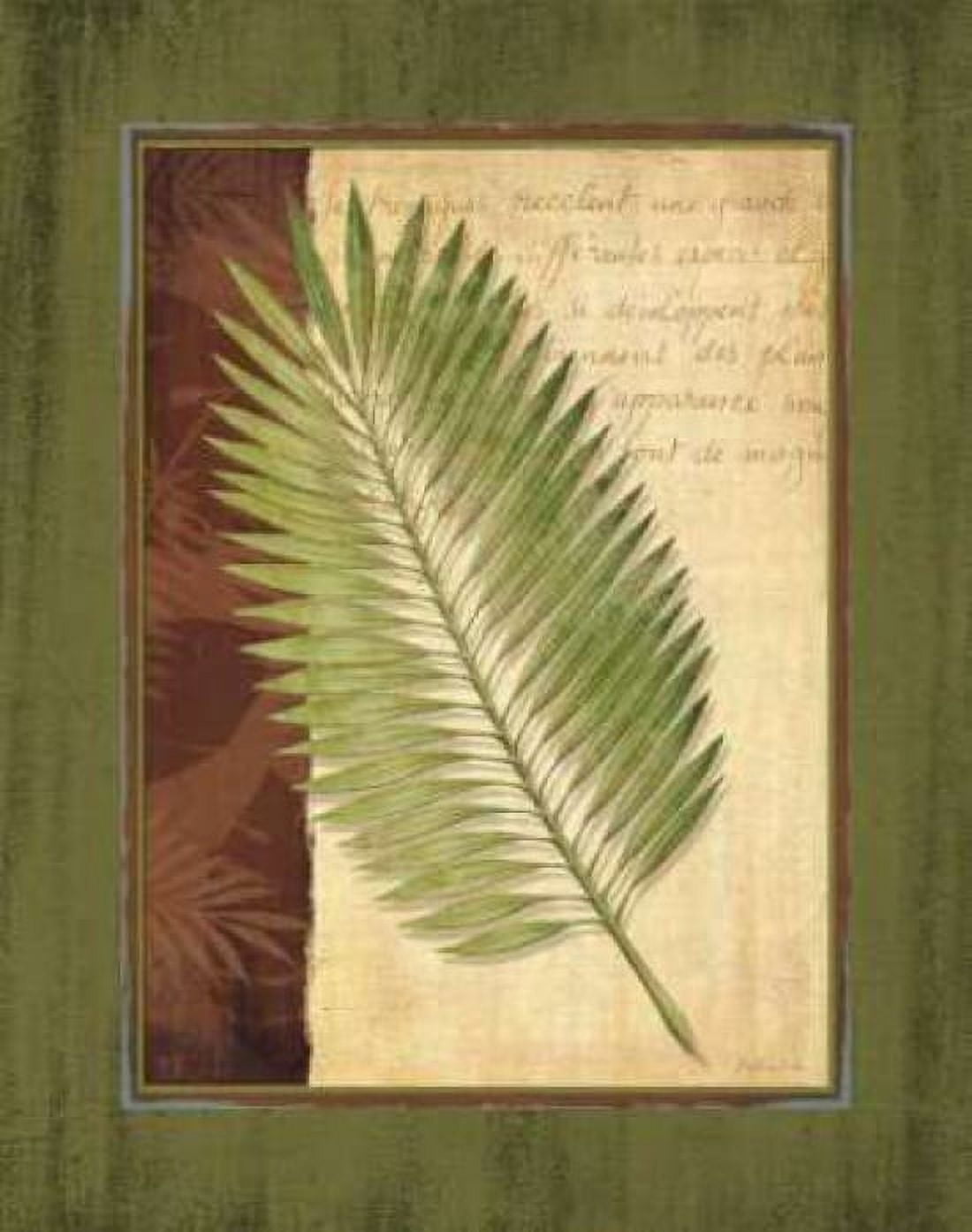 Posterazzi Palm Tropical III Canvas Art - Delphine Corbin (22 x 28)