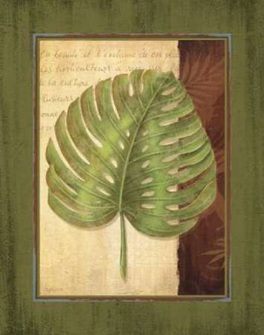 Posterazzi Palm Tropical IV Canvas Art - Delphine Corbin (22 x 28)