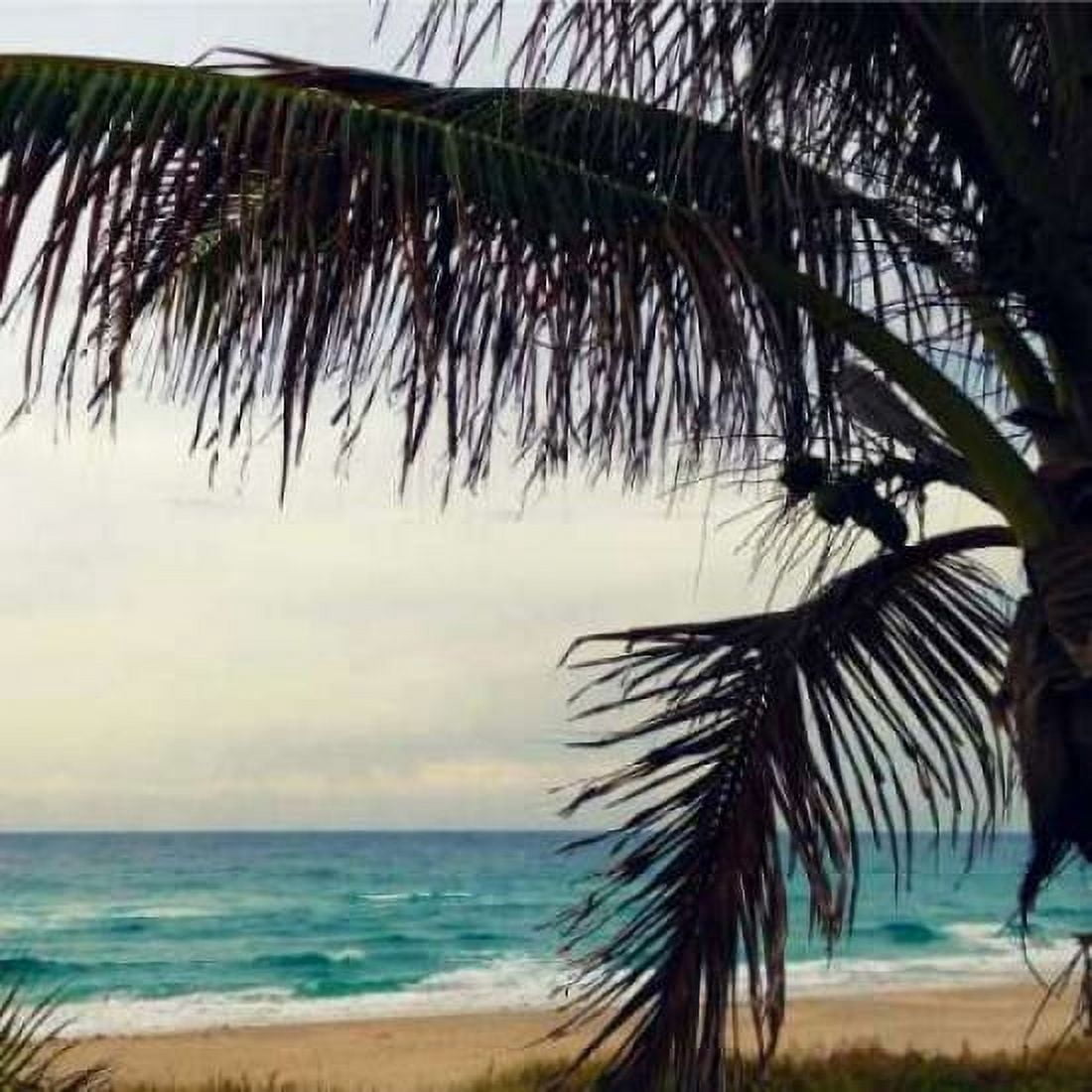 Posterazzi Palm and Beach Canvas Art - Lisa Hill Saghini (24 x 24)