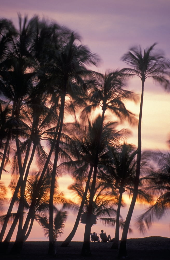 Posterazzi Palm trees and a couple in beach chairs at sunset at Anaehoomalu Bay Waikoloa resort Kohala Island of Hawaii Hawaii United States of America Canvas Art - Greg Vaughn Design Pics (22 x 34)