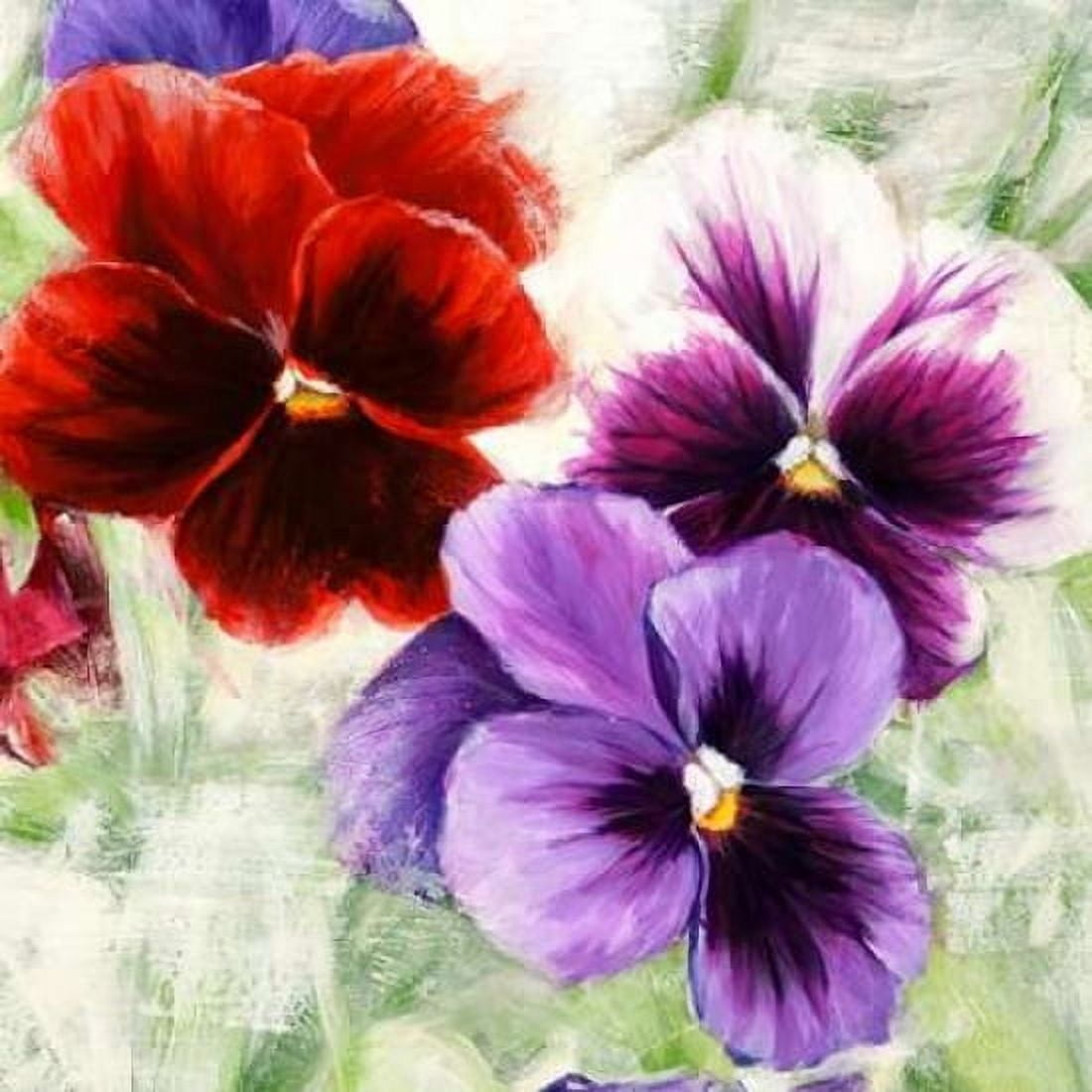 Posterazzi Pansies I Canvas Art - Jenny Thomlinson (24 x 24)