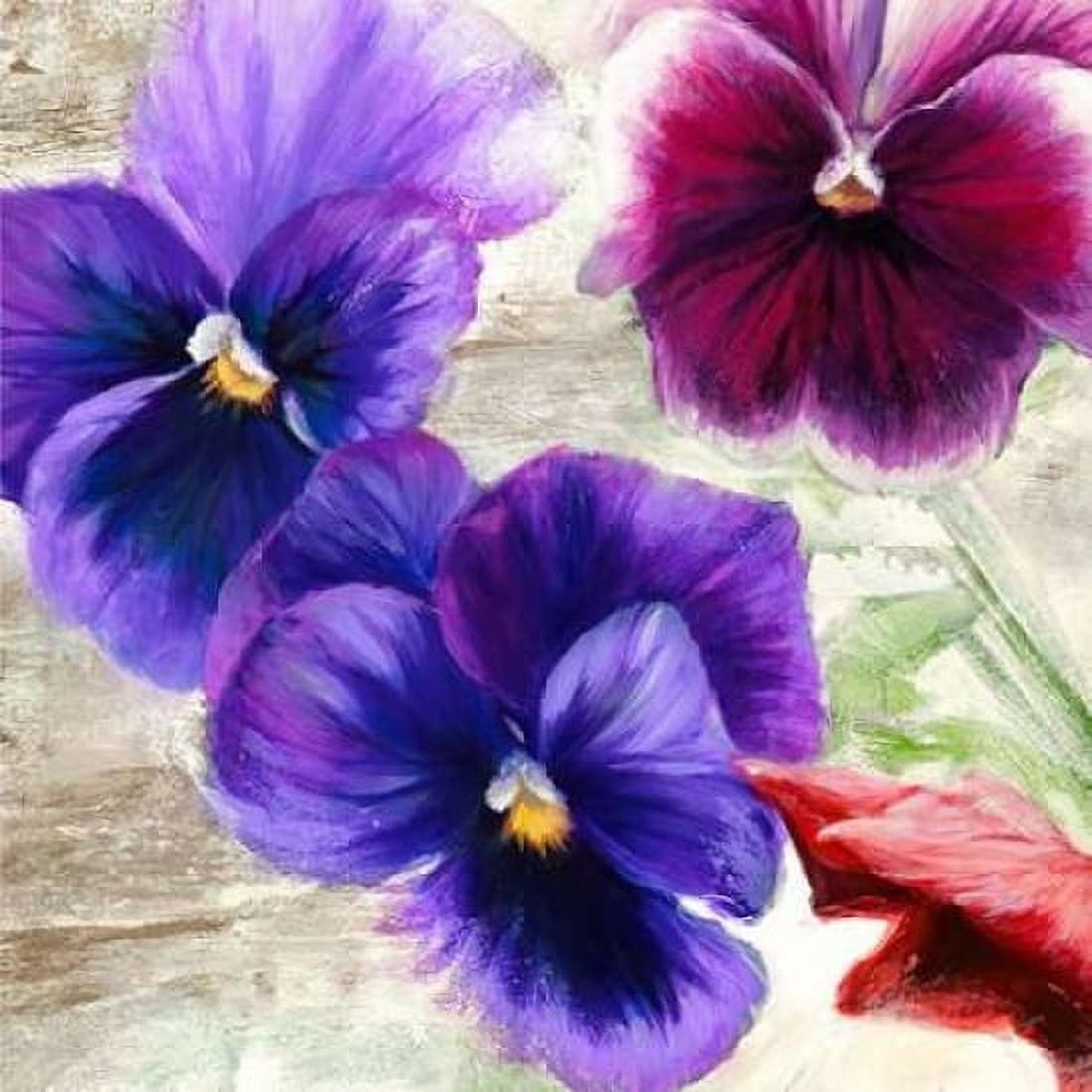 Posterazzi Pansies II Canvas Art - Jenny Thomlinson (24 x 24)