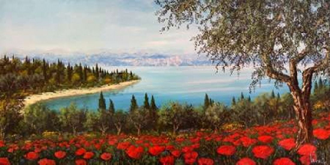Posterazzi Papaveri sulla baia Canvas Art - Tebo Marzari (24 x 48)