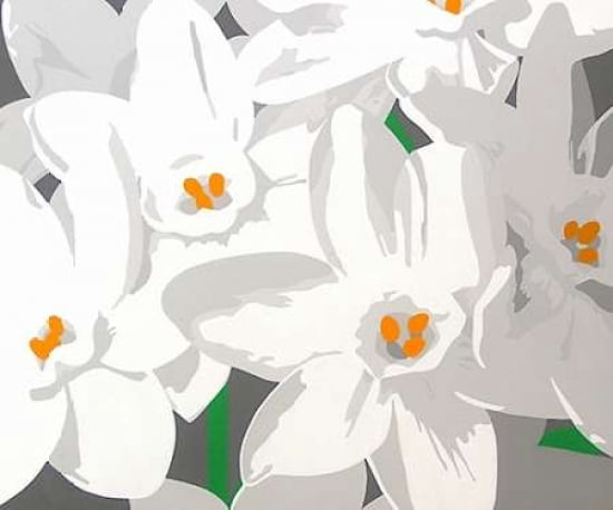 Posterazzi Paperwhites Canvas Art - Susan Porter (20 x 24)