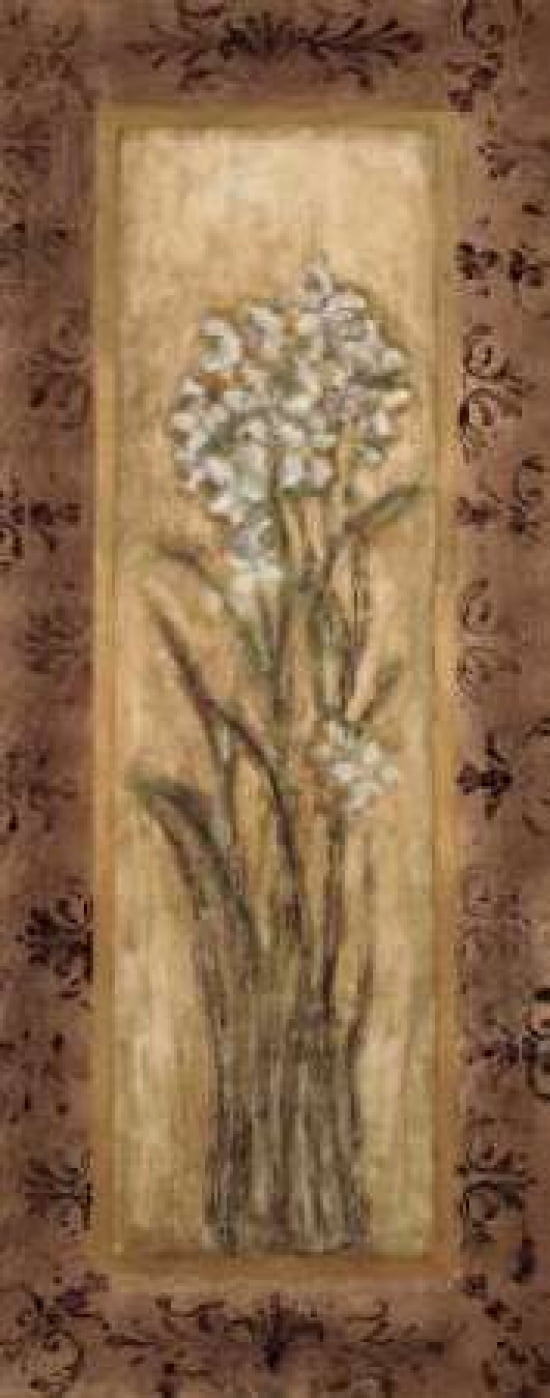 Posterazzi Paperwhites II Canvas Art - Mindeli (24 x 48)