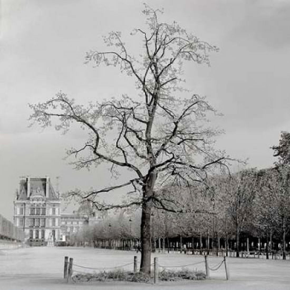 Posterazzi Paris - 22 Canvas Art - Alan Blaustein (24 x 24)