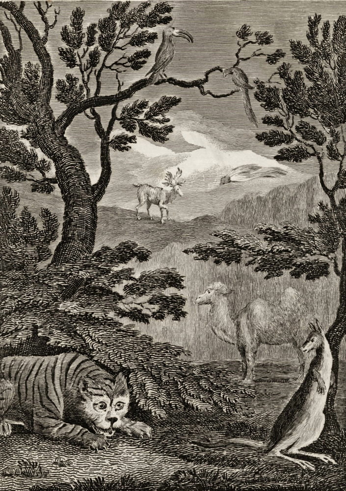 Posterazzi Part Of The Natural History Of Asia 18Th Century Print Engraved By Wallis After WMCraig Canvas Art - Ken Welsh Design Pics (24 x 36)