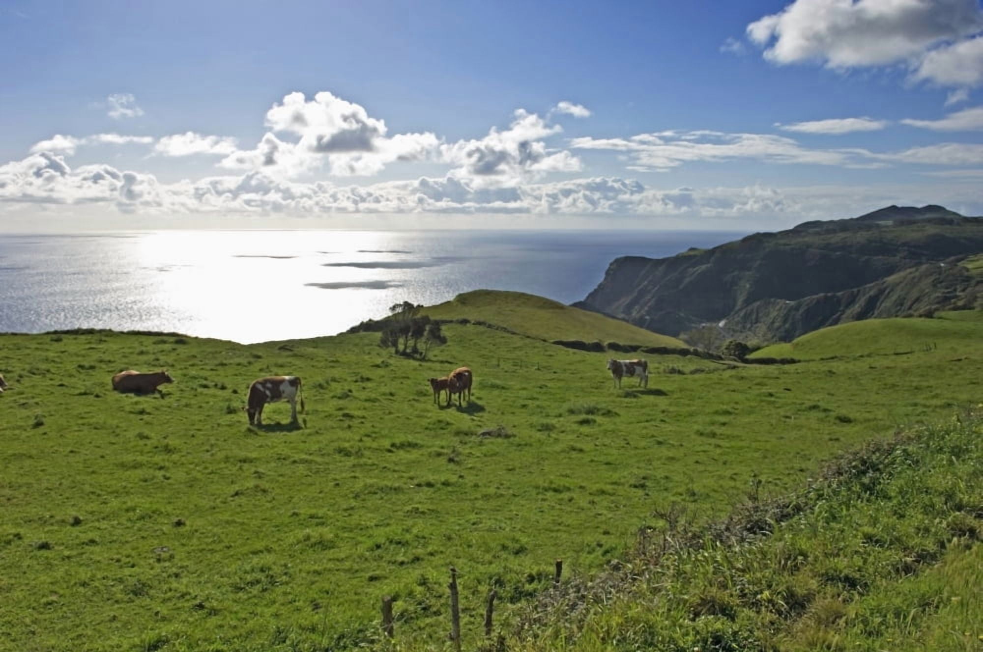 Posterazzi Pastoral Landscape Of Santa Maria Island Canvas Art - Chris Parker Design Pics (38 x 24)