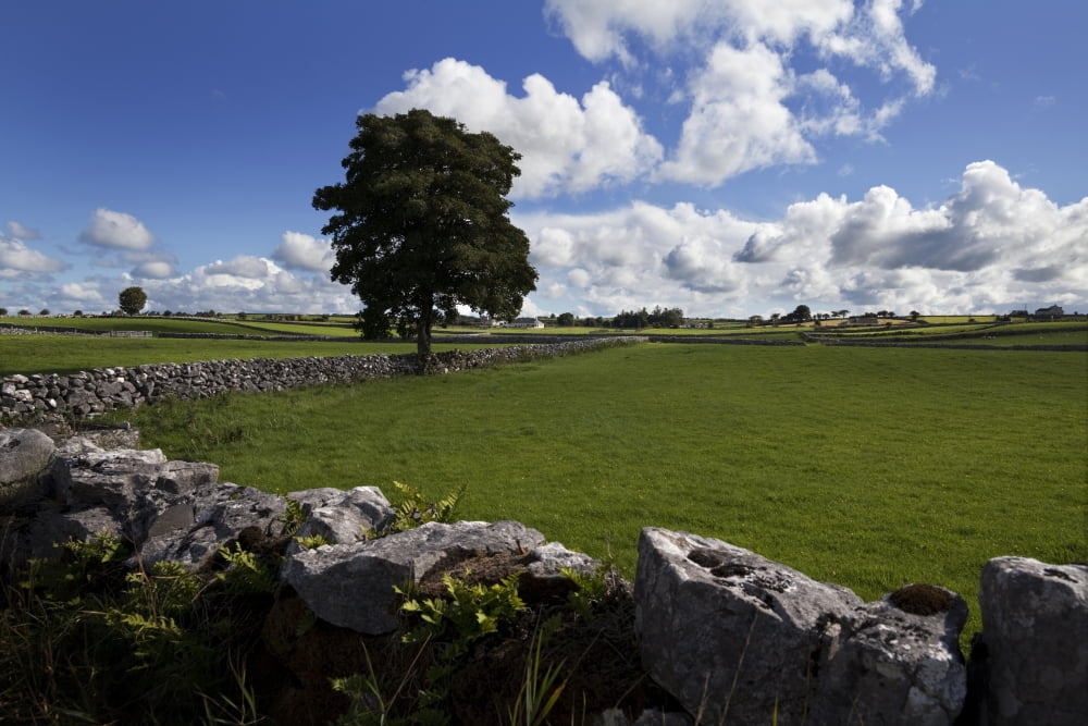Posterazzi Pastoral farmland between Clonbur and Ballinrobe County Mayo Ireland Canvas Art - George Munday Design Pics (38 x 24)