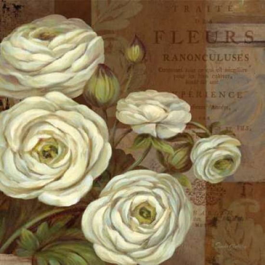 Posterazzi Patina Ranunculus Canvas Art - Pamela Gladding (24 x 24)