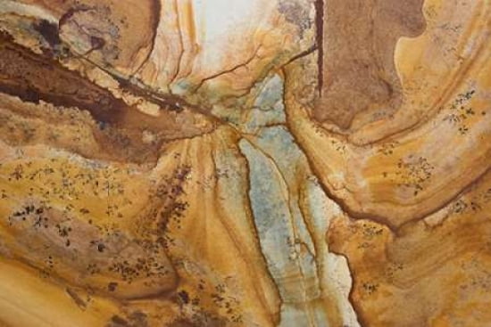 Posterazzi Pattenrs of Nature XIV Canvas Art - JoAnn Arduini (24 x 36)