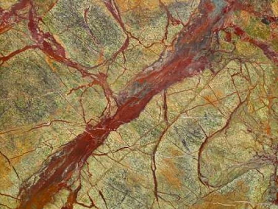 Posterazzi Patterns of Nature V Canvas Art - JoAnn Arduini (22 x 28)