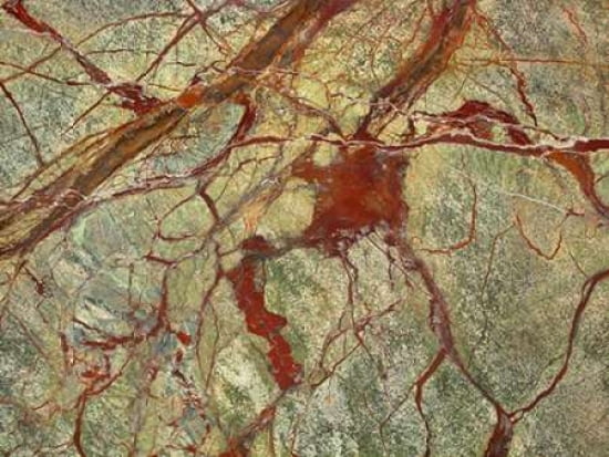 Posterazzi Patterns of Nature VI Canvas Art - JoAnn Arduini (22 x 28)
