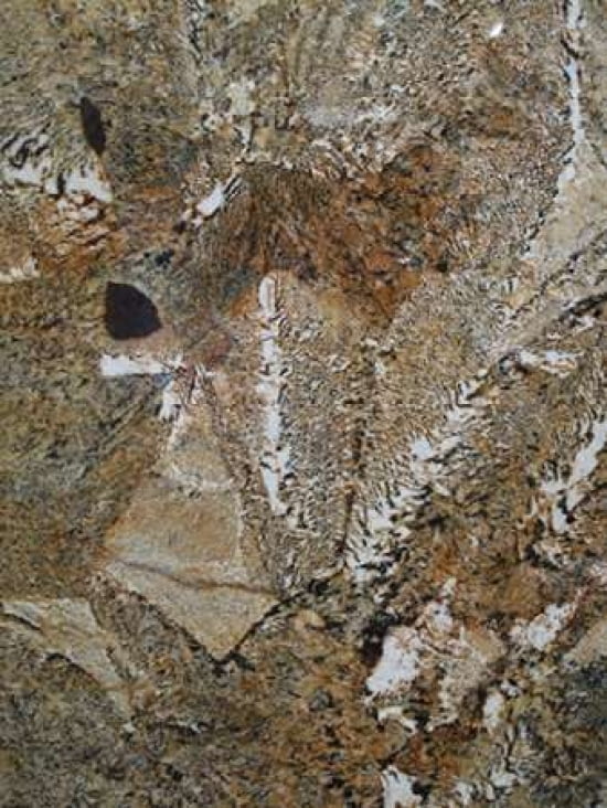 Posterazzi Patterns of Nature XII Canvas Art - JoAnn Arduini (22 x 28)
