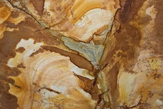 Posterazzi Patterns of Nature XIII Canvas Art - JoAnn Arduini (24 x 36)