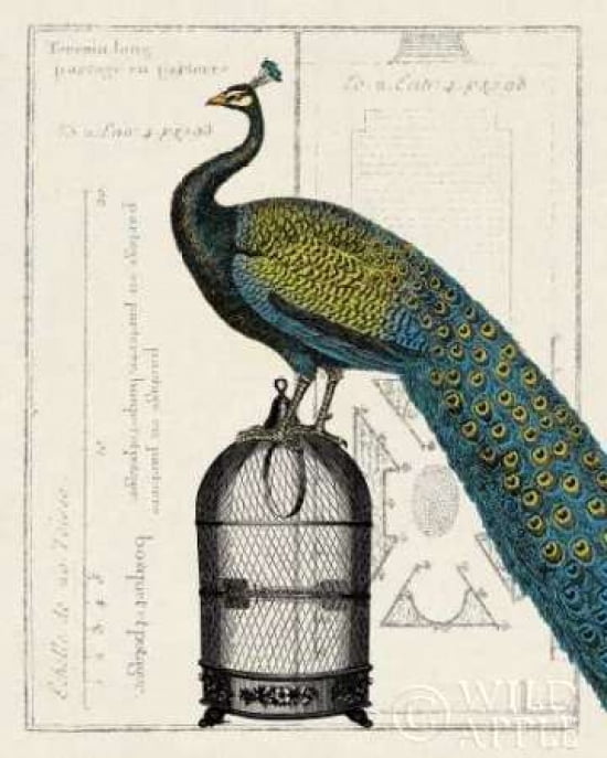 Posterazzi Peacock Birdcage II Canvas Art - Sue Schlabach (24 x 30)