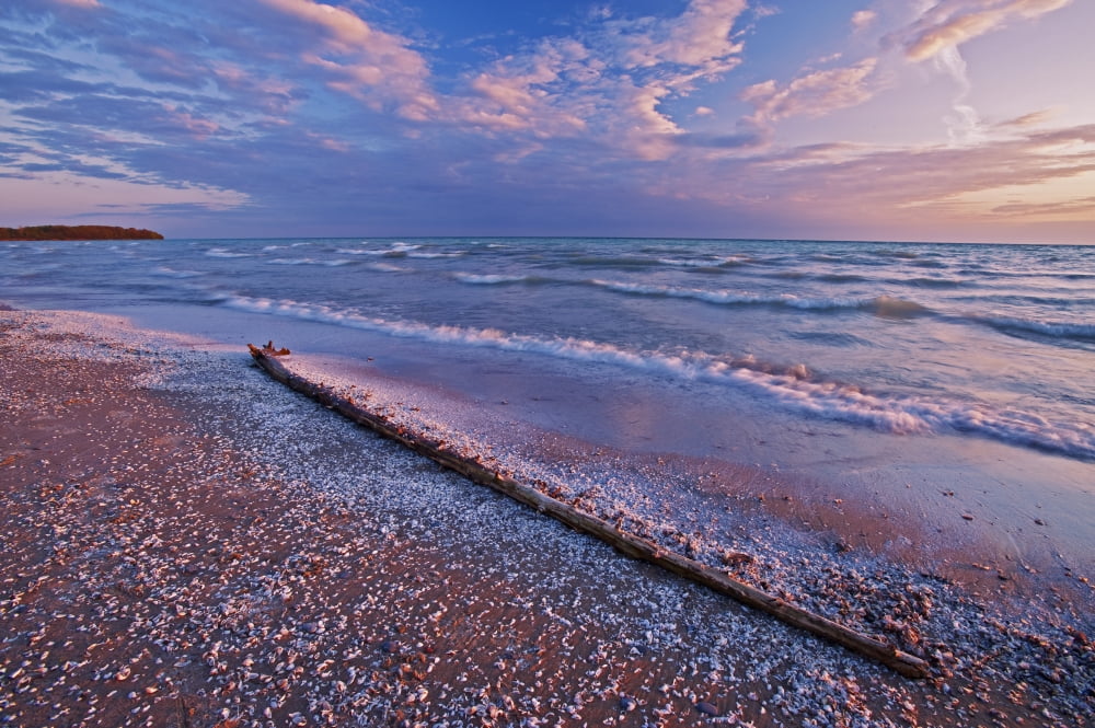 Posterazzi Pebbles And Shells On Shoreline Of Lake Ontario Sandbanks Provincial Park Ontario Canada Canvas Art - Mike Grandmaison Design Pics (36 x 24)