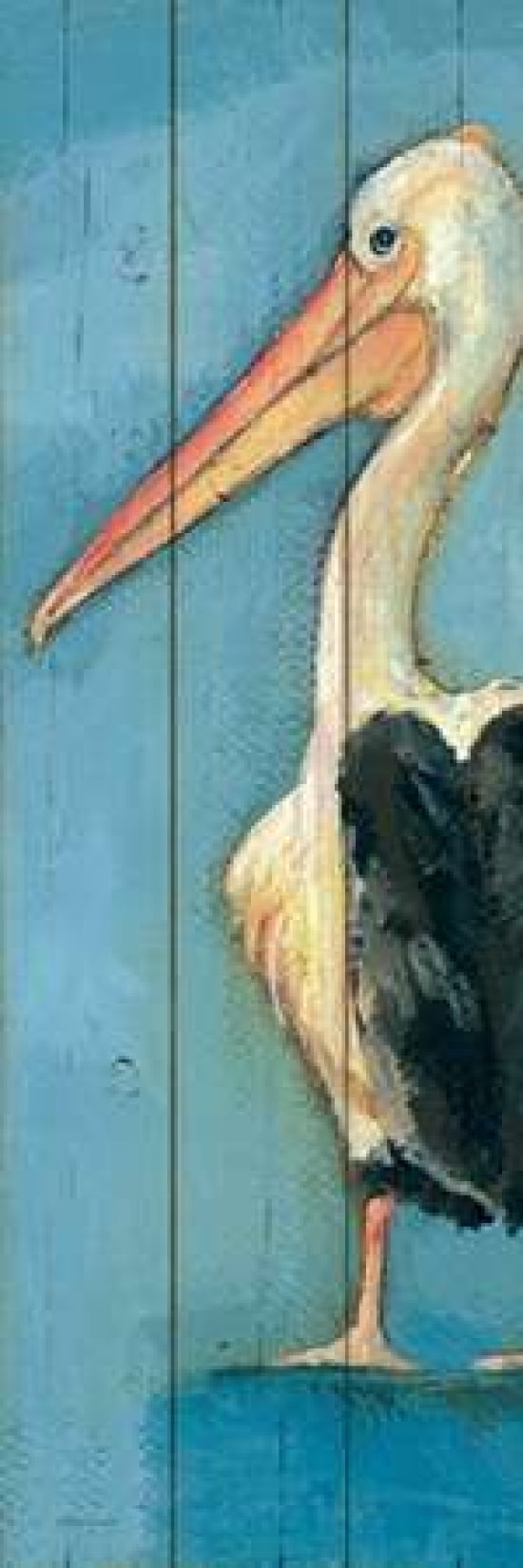 Posterazzi Pelican Canvas Art - Stephanie Marrott (8 x 24)