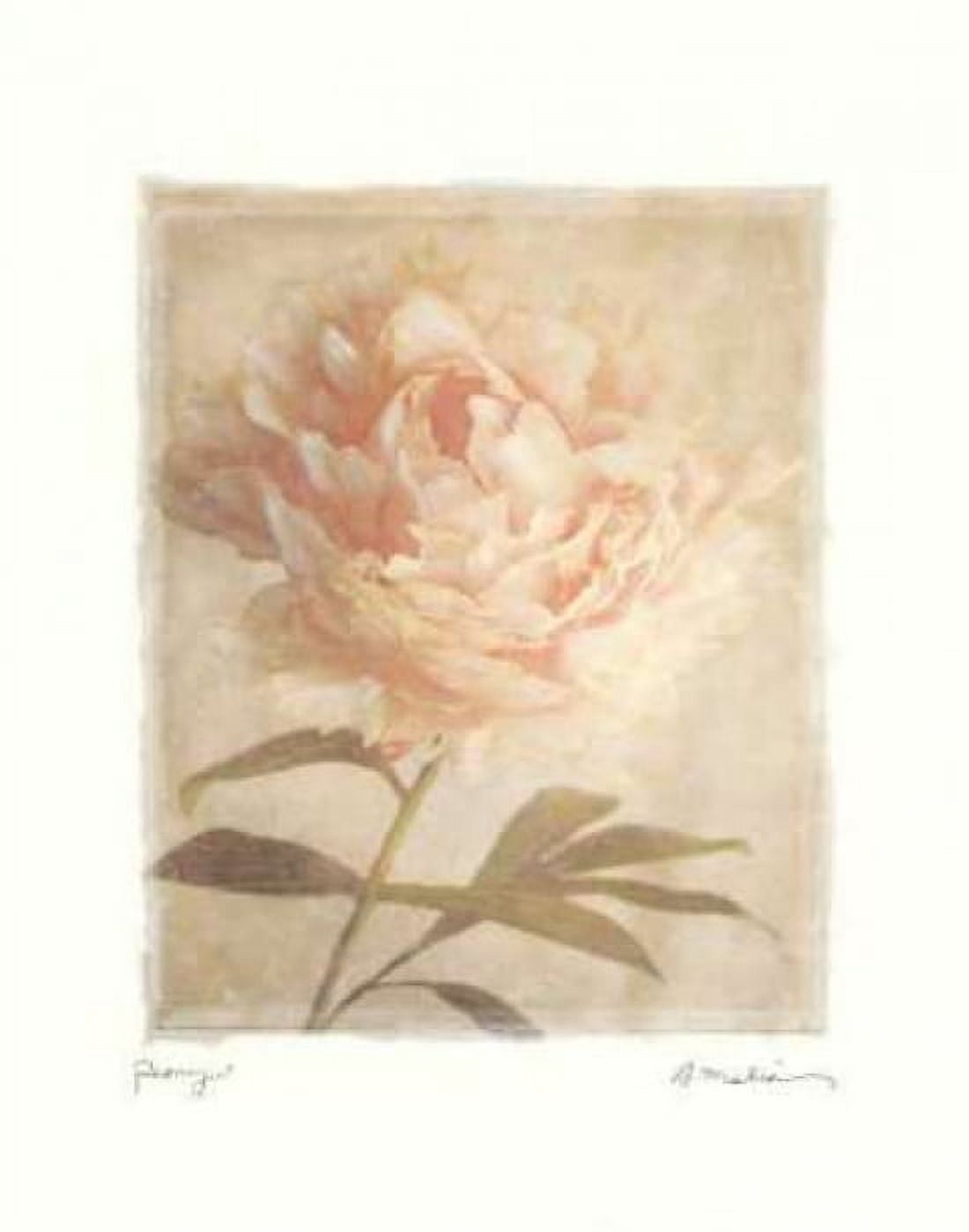 Posterazzi Peony Canvas Art - Amy Melious (22 x 28)