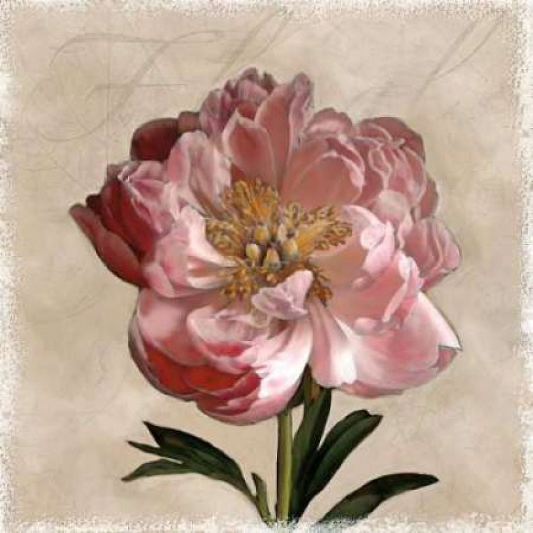Posterazzi Peony I Canvas Art - Janel Pahl (24 x 24)