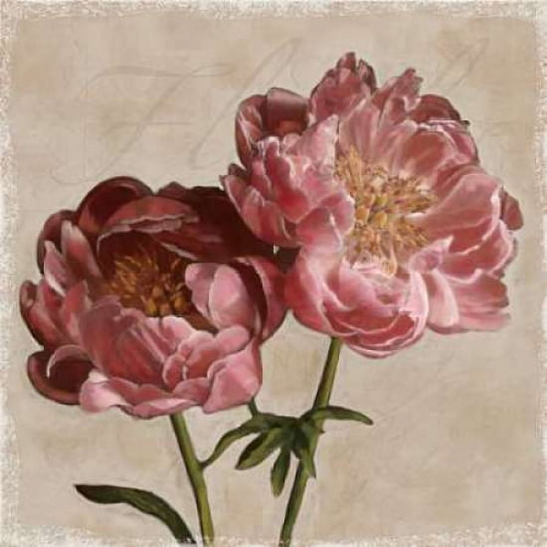 Posterazzi Peony II Canvas Art - Janel Pahl (24 x 24)