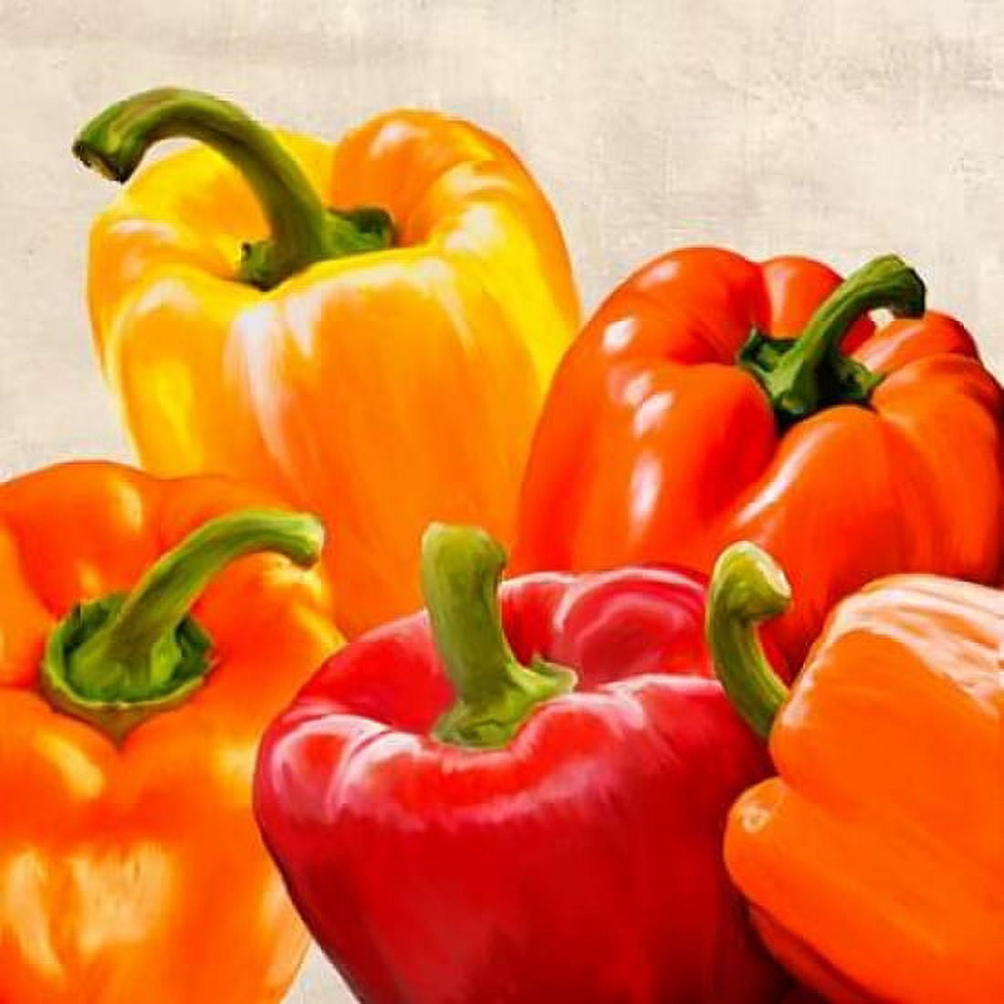 Posterazzi Peppers Canvas Art - Remo Barbieri (24 x 24)