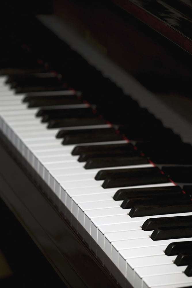 Posterazzi Piano Canvas Art - David Chapman Design Pics (24 x 36)