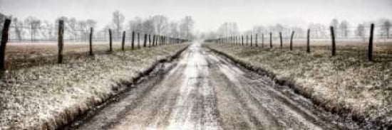 Posterazzi Picket Path Canvas Art - Todd McPhetridge (12 x 36)