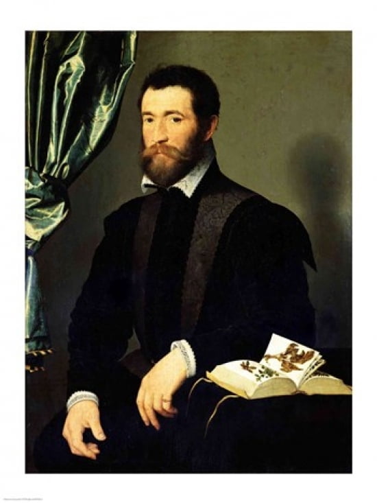 Posterazzi Pierre Quthe Canvas Art - Francois Clouet (24 x 36)