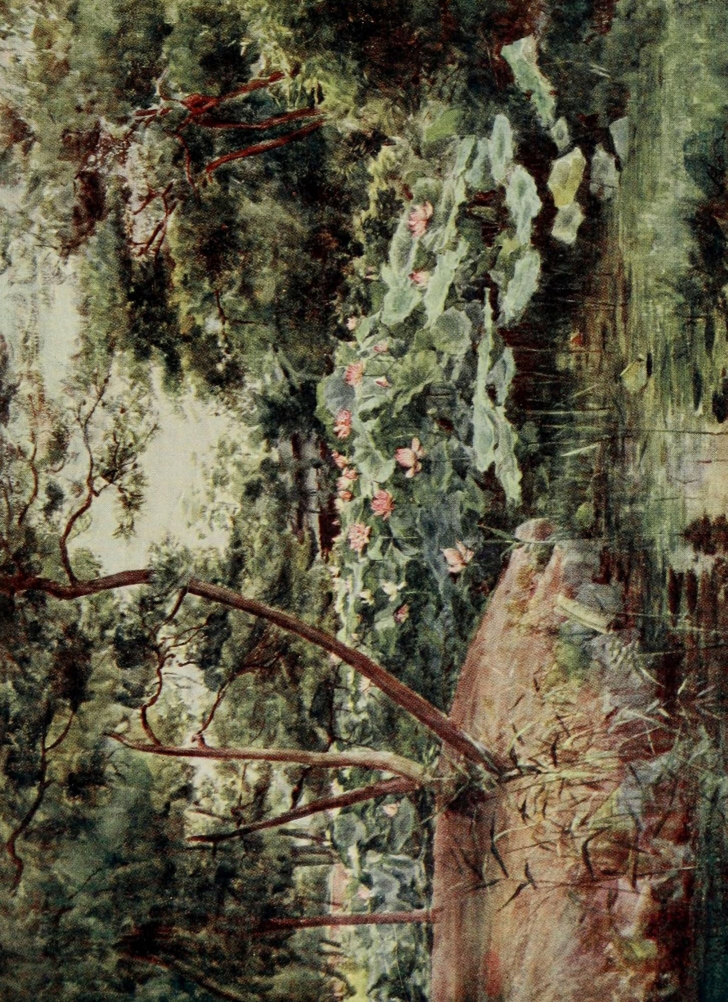 Posterazzi Pine & pink lotus at Kofu Japanese Gardens 1912 Canvas Art - Walter Tyndale (24 x 36)