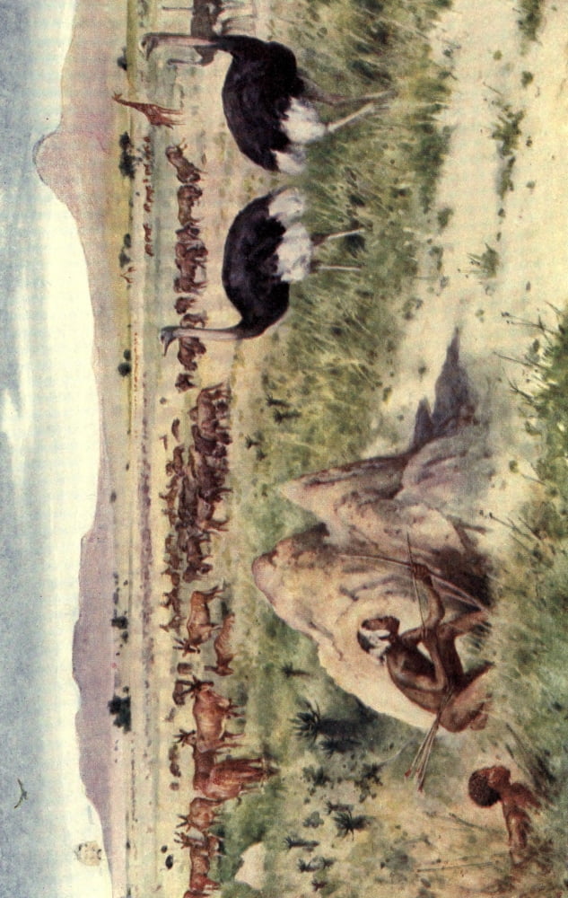 Posterazzi Pioneers in South Africa 1910 A South African plain Canvas Art - Walter Paget (24 x 36)