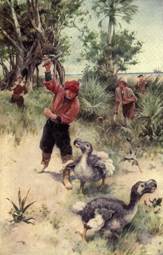 Posterazzi Pioneers in South Africa 1910 Dutch soldiers pursuing Dodos Canvas Art - Walter Paget (24 x 36)