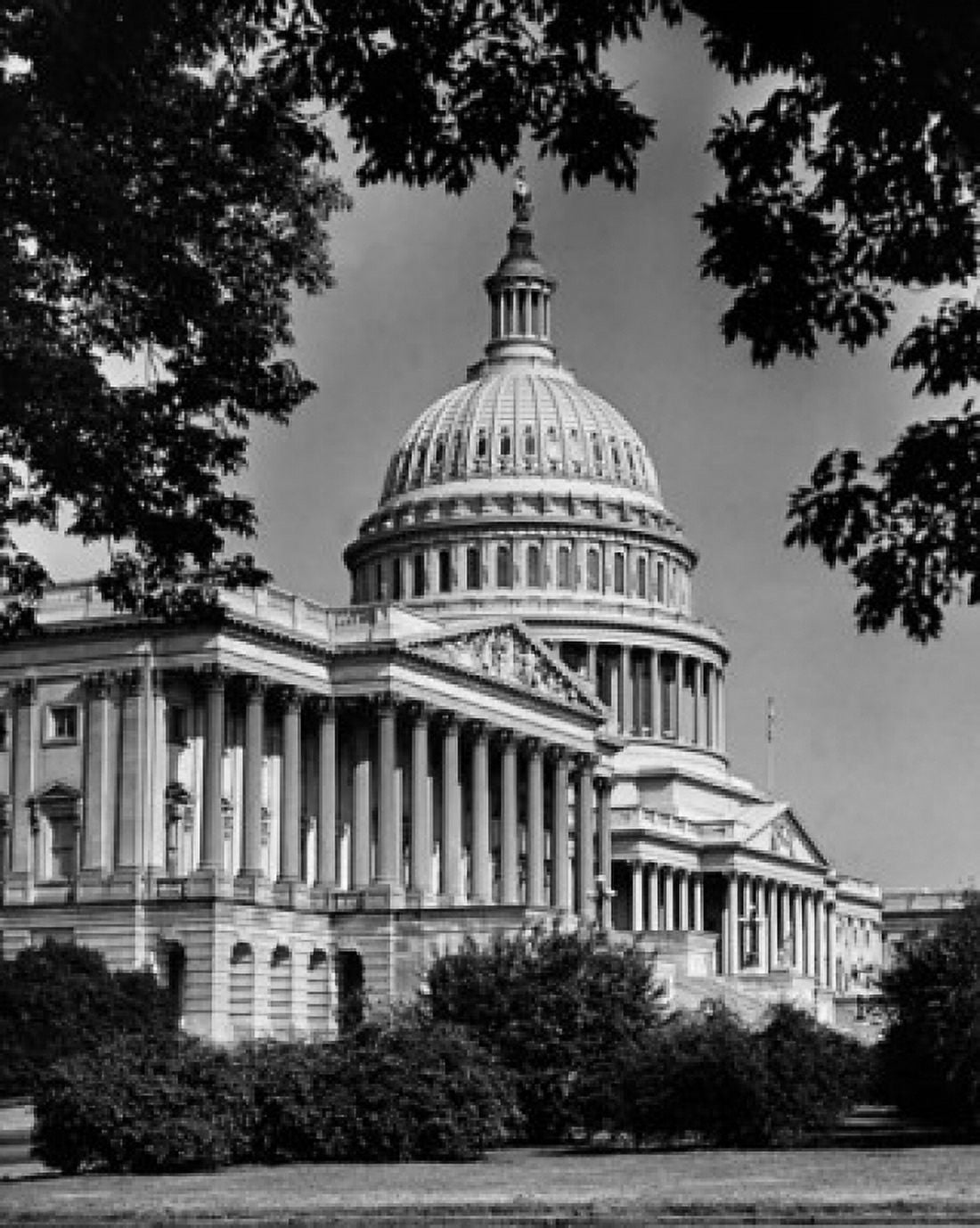 Posterazzi Plants in front of a government building Capitol Building Washington DC USA Canvas Art -  (24 x 36)