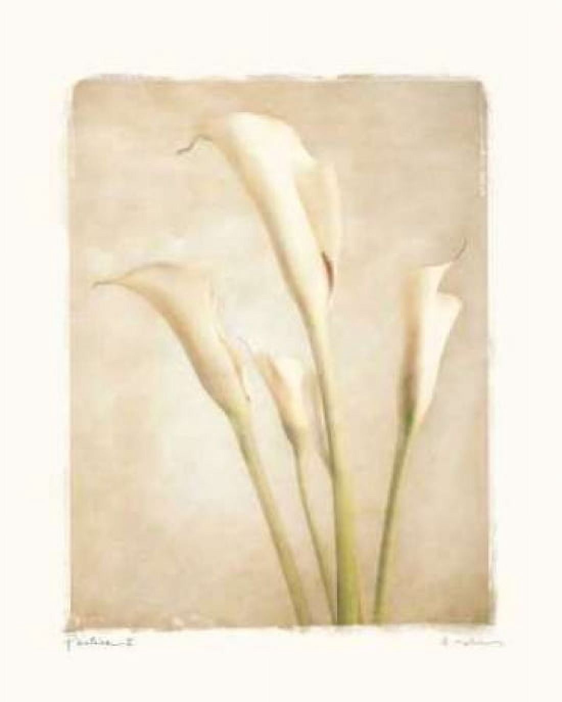 Posterazzi Poetica II Canvas Art - Amy Melious (24 x 30)