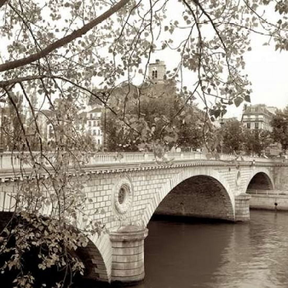 Posterazzi Pont Louis-Philippe Paris Canvas Art - Alan Blaustein (24 x 24)