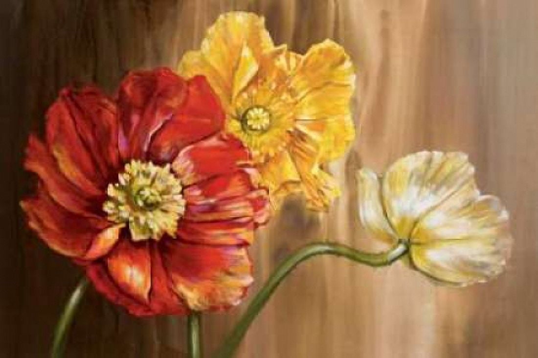 Posterazzi Poppies Canvas Art - Selina Werbelow (24 x 36)