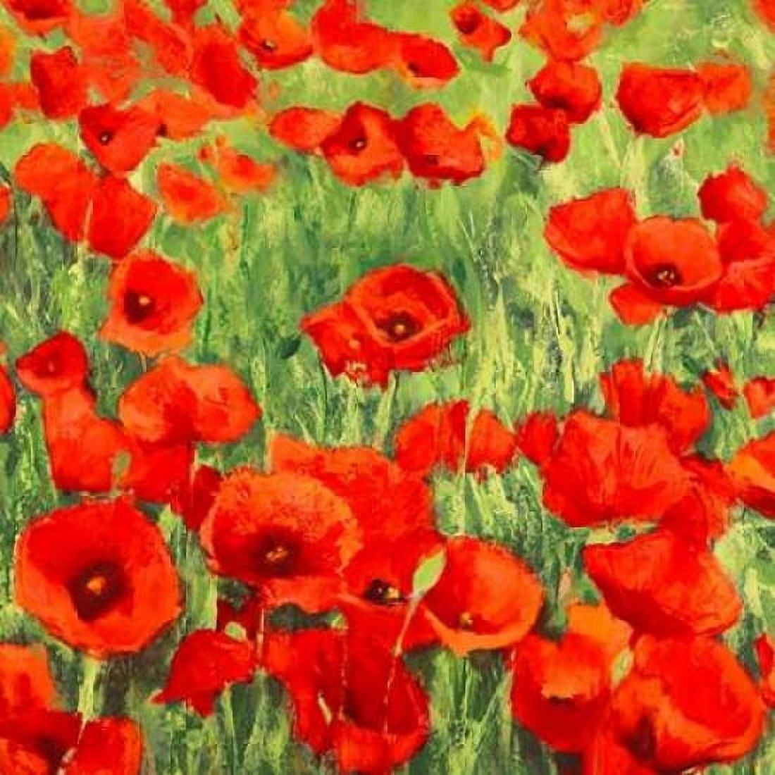 Posterazzi Poppies Canvas Art - Silvia Mei (24 x 24)
