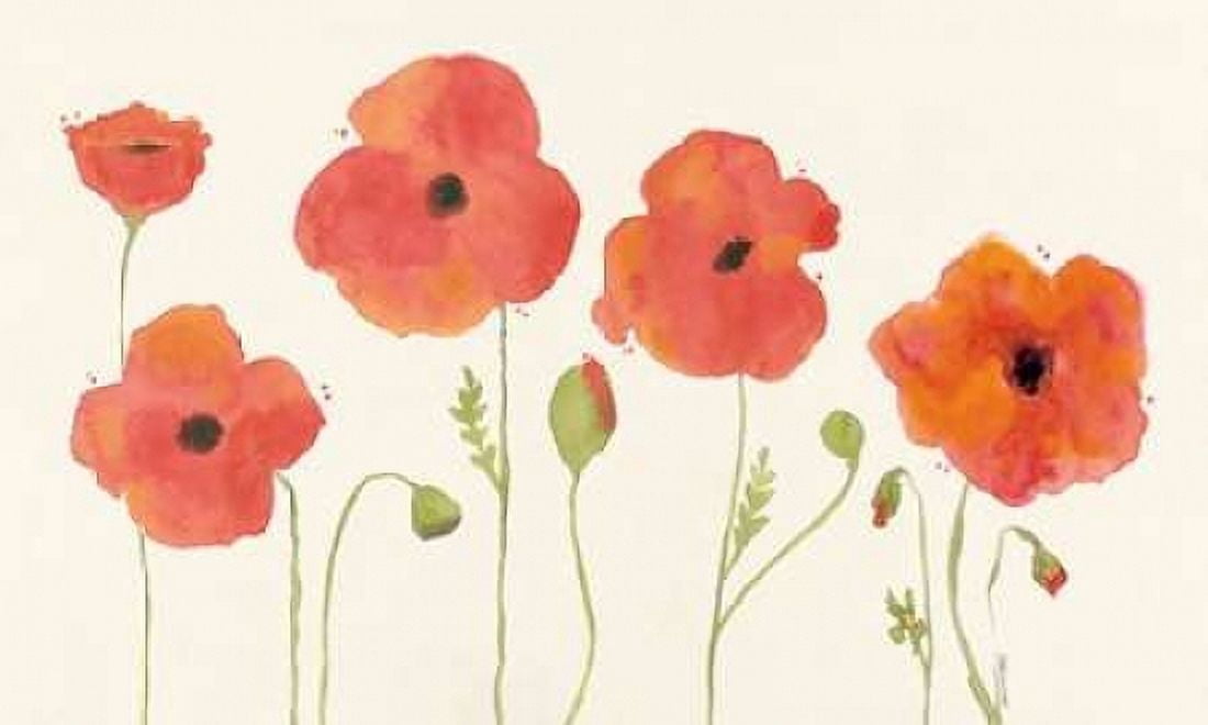 Posterazzi Poppies Canvas Art - Stephanie Marrott (12 x 18)