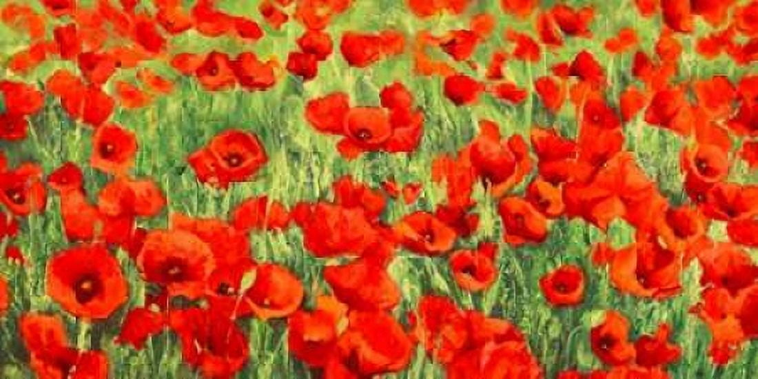 Posterazzi Poppy Field Canvas Art - Silvia Mei (10 x 20)