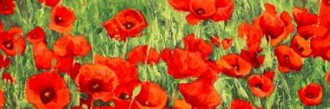 Posterazzi Poppy Field Canvas Art - Silvia Mei (12 x 36)