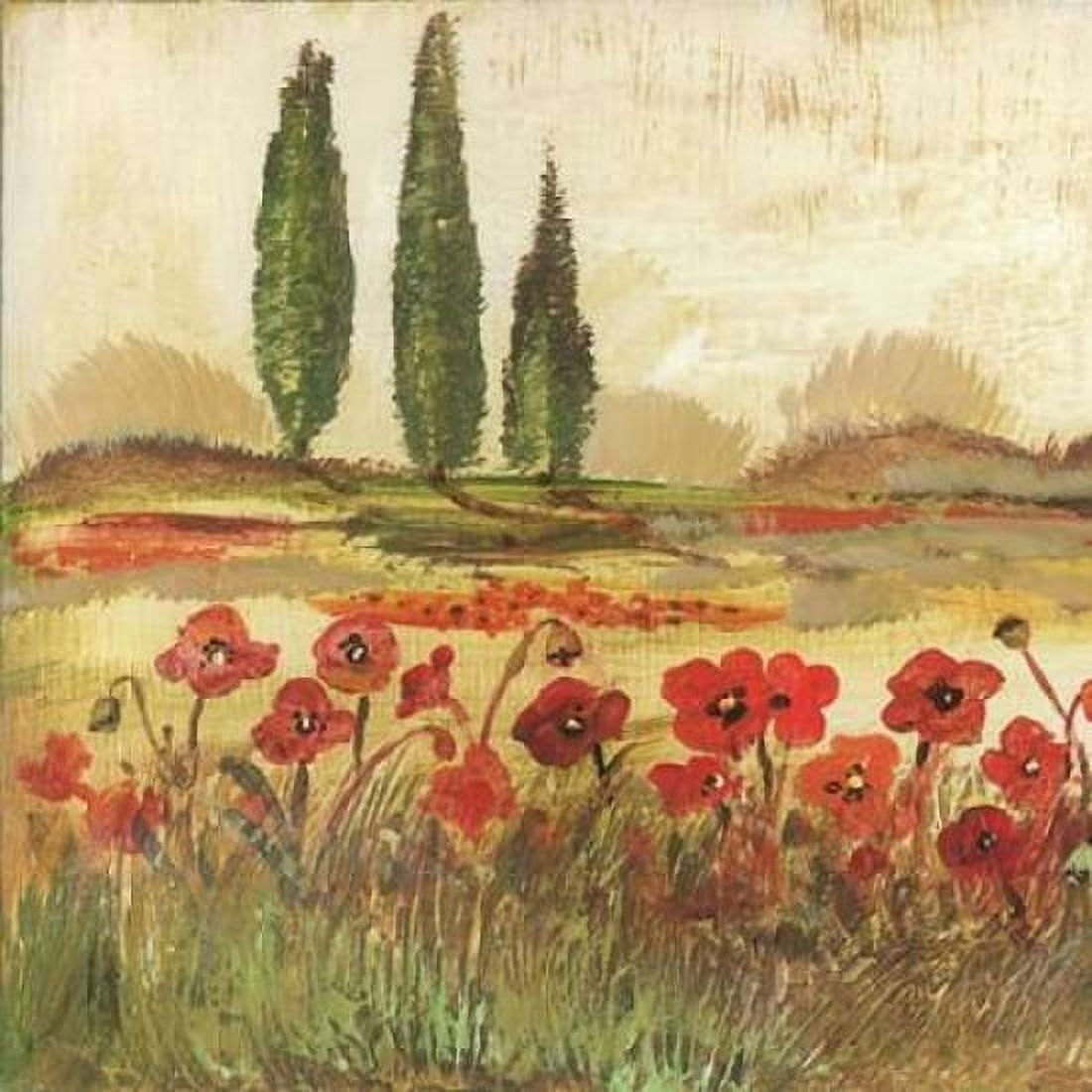 Posterazzi Poppy Field II Canvas Art - Gregory Gorham (24 x 24)
