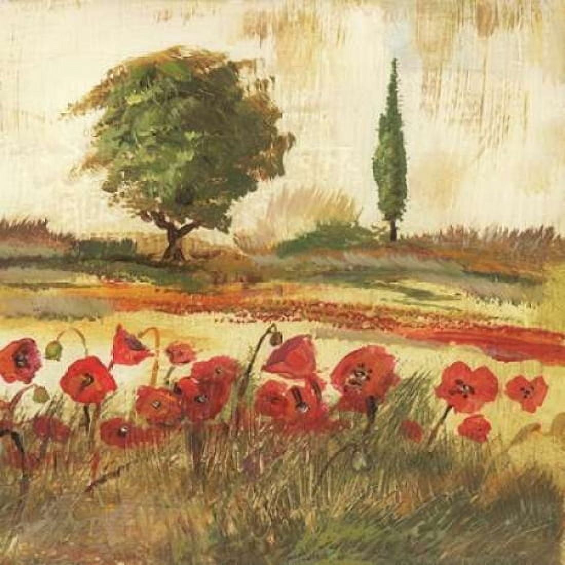 Posterazzi Poppy Field III Canvas Art - Gregory Gorham (24 x 24)