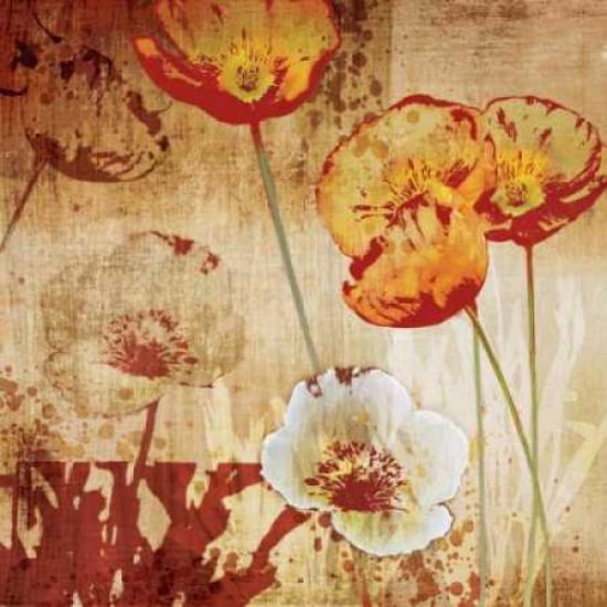 Posterazzi Poppy Heat I Canvas Art - Tandi Venter (24 x 24)