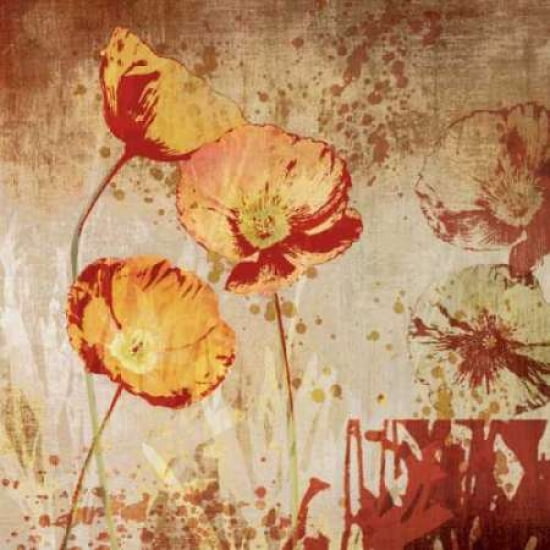 Posterazzi Poppy Heat II Canvas Art - Tandi Venter (24 x 24)