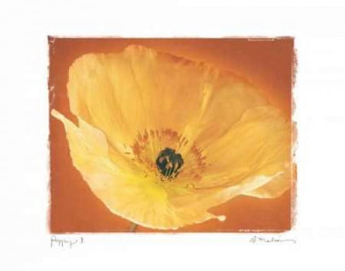 Posterazzi Poppy I Canvas Art - Amy Melious (24 x 30)