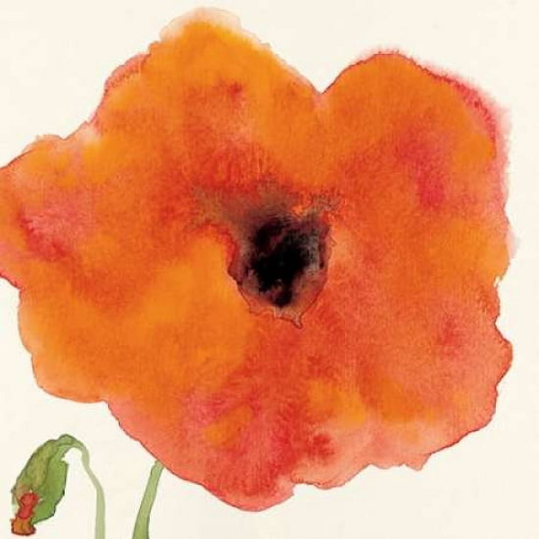 Posterazzi Poppy I Canvas Art - Stephanie Marrott (24 x 24)