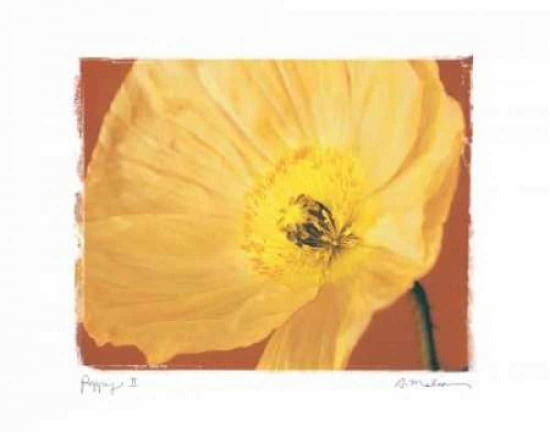 Posterazzi Poppy II Canvas Art - Amy Melious (24 x 30)