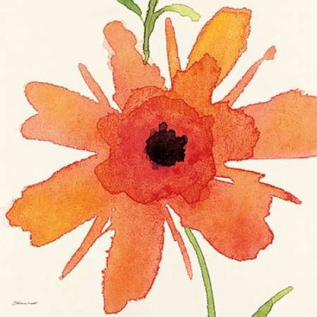 Posterazzi Poppy II Canvas Art - Stephanie Marrott (24 x 24)