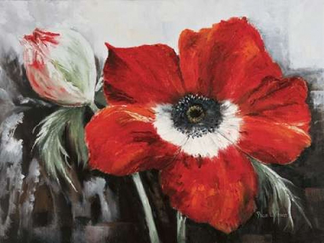 Posterazzi Poppy in full bloom Canvas Art - Rian Withaar (18 x 24)