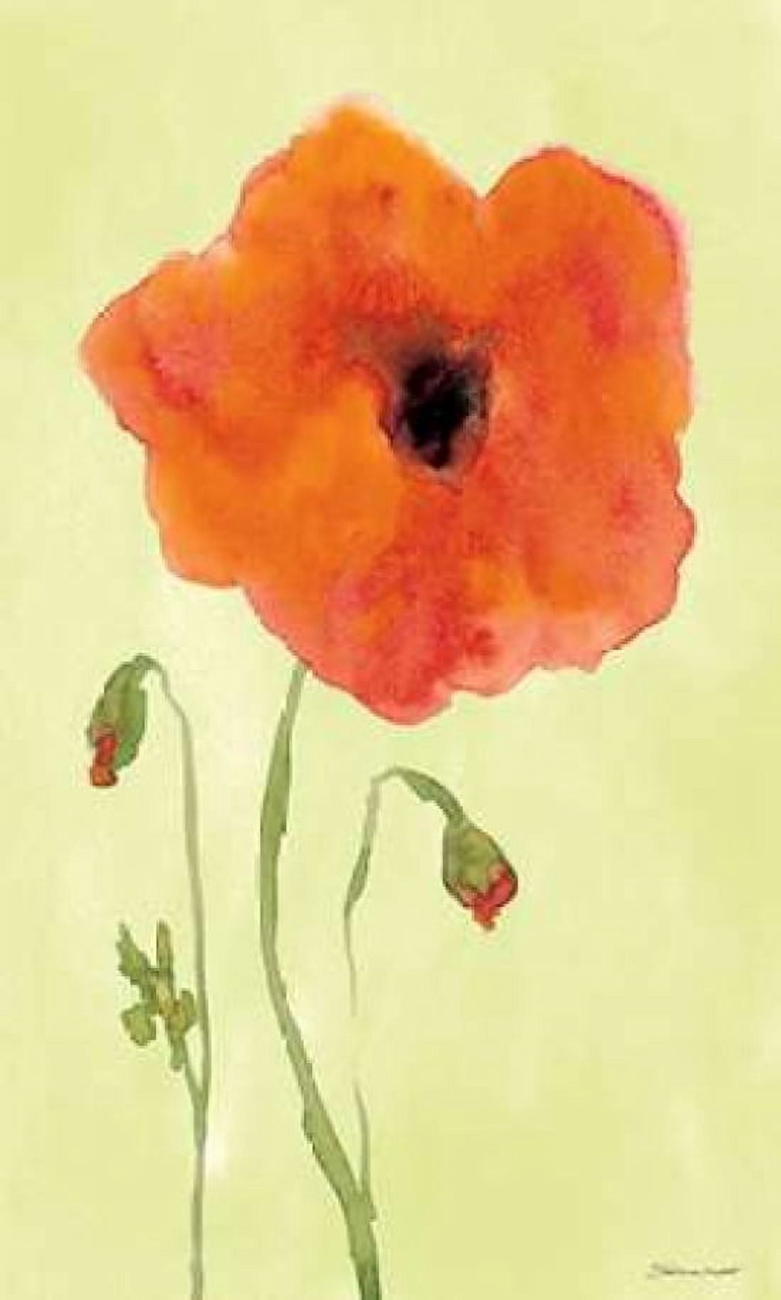 Posterazzi Poppyface Canvas Art - Stephanie Marrott (24 x 36)